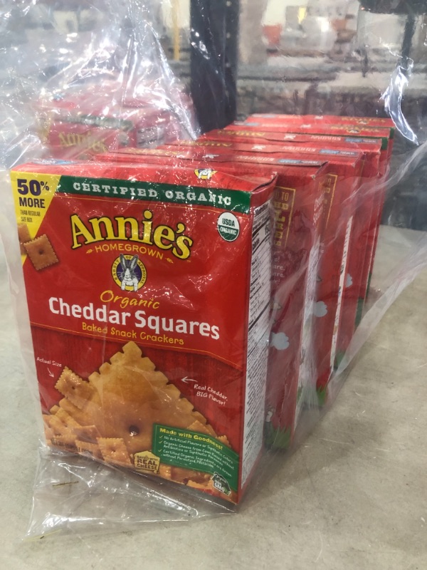 Photo 1 of 6 PACK: ANNIE'S HOMEGROWN, Organic Cracker Squares, Chaddar, Pack of 6, Size 11.25 OZ - No Artificial Ingredients 95%+ Organic
BEST BY: 03/16/22