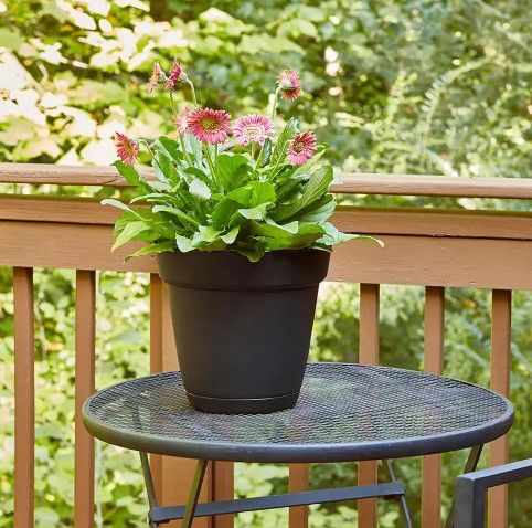 Photo 1 of **SET OF 3**
Graff 11.91 in. x 10.7 in. Black Resin Planter with Saucer
