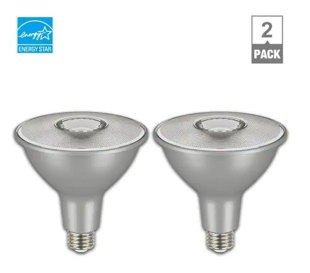 Photo 1 of 2pck- EcoSmart 150-Watt Equivalent PAR38 Dimmable Flood LED Light Bulb Daylight (2-Pack)