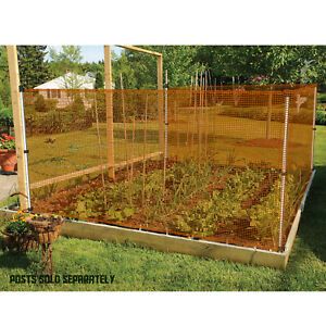 Photo 1 of ***STOCK PHOTO FOR REFERENCE*** 6FT TALL ORANGE GARDEN MESH FENCE*** 