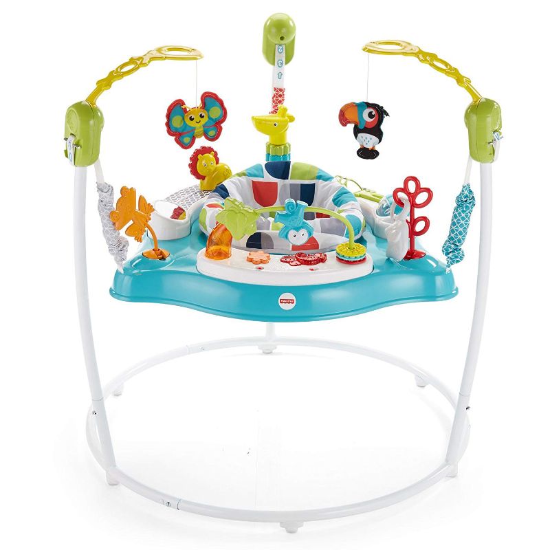 Photo 1 of Fisher-Price Color Climbers Jumperoo Home Baby Toy Activity Entertaining Bouncer

