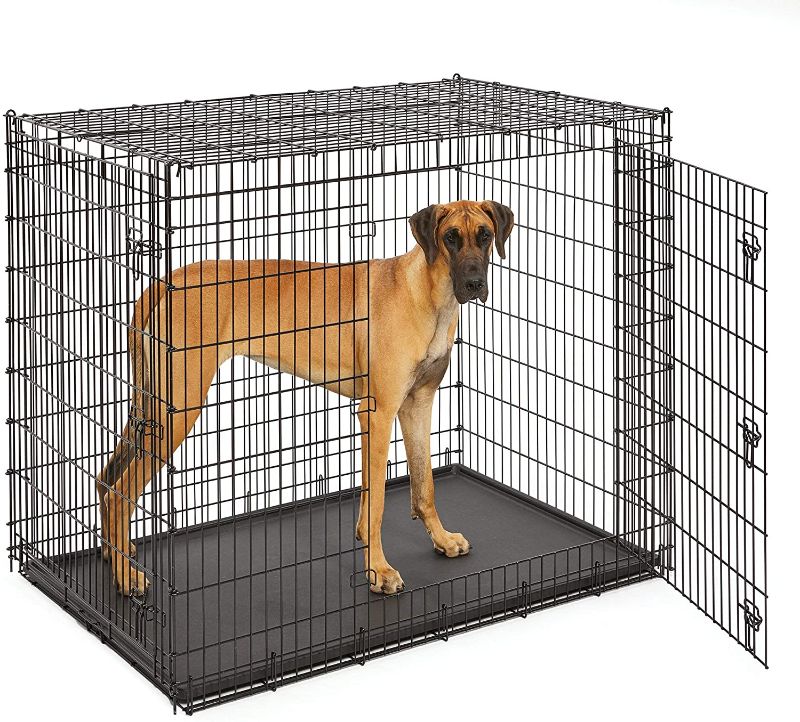 Photo 1 of MidWest Homes for Pets XXL Giant Dog Crate | 54-Inch Long Ginormous Dog Crate Ideal for a Great Dane, Mastiff, St. Bernard & Other XXL Dog Breeds
