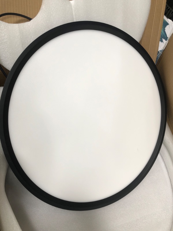 Photo 1 of 24INCH round black hanging light fixture