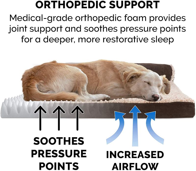 Photo 1 of (DROOL ON MATERIAL; FLATENED EDGE)
Furhaven Orthopedic CertiPUR-US Certified Foam Pet Bed