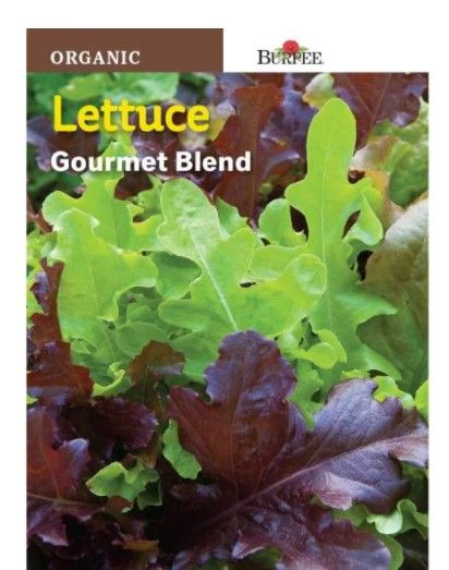 Photo 1 of 10pck-Burpee Lettuce Gourmet Blend Seed