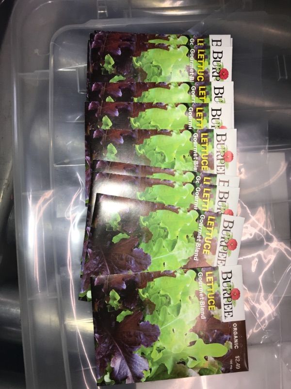 Photo 2 of 10pck-Burpee Lettuce Gourmet Blend Seed