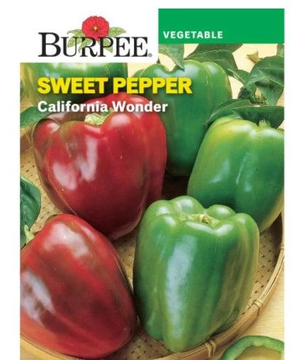 Photo 1 of 10pck-Burpee Pepper California Wonder Seed