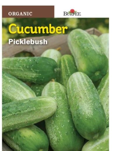 Photo 1 of 14 pck-Burpee Picklebush Organic Cucumber Seed