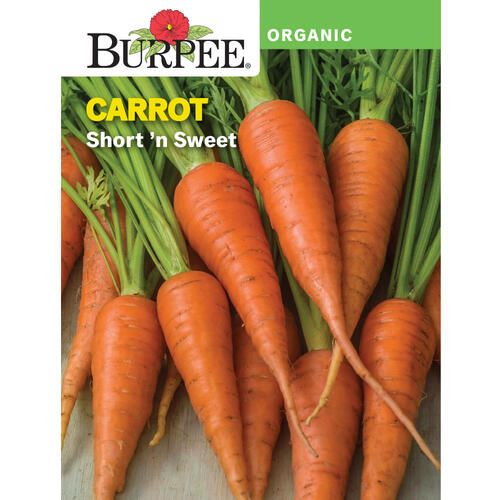 Photo 1 of 15pck-Burpee® Organic Carrot Short 'n Sweet Vegetable Seeds
