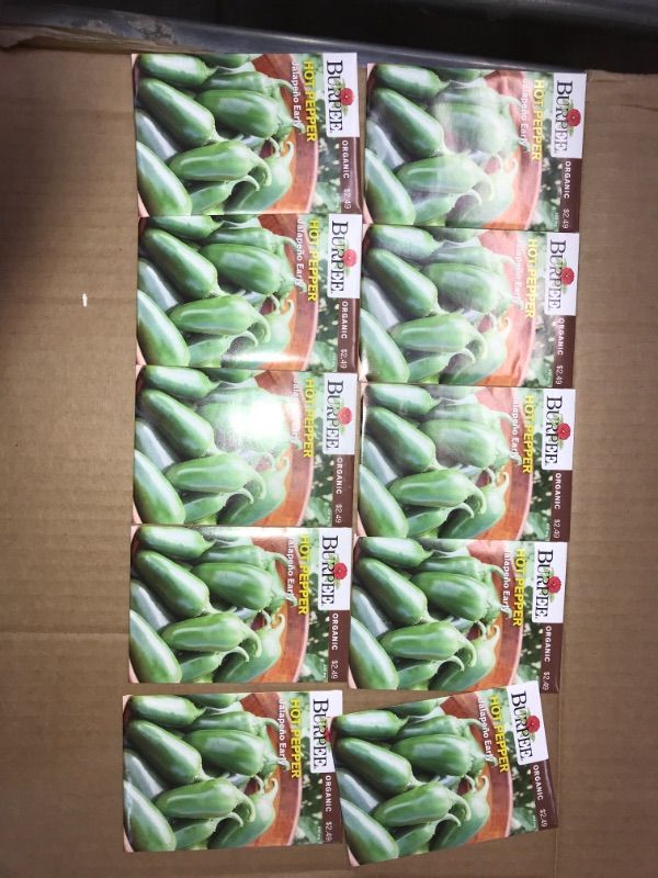 Photo 2 of 10pck-Burpee Early Hot  | Jalapeno Pepper Variety | Certified Vegetable Home Garden, Organic Seeds
