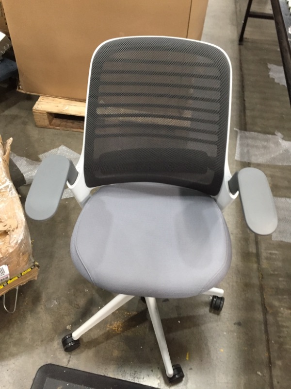 Photo 5 of Steelcase Series 1 Office Chair, Carpet Casters, Grey
