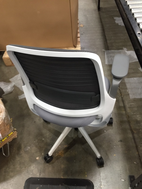 Photo 2 of Steelcase Series 1 Office Chair, Carpet Casters, Grey
