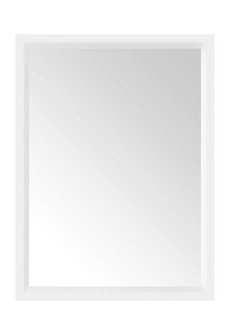 Photo 1 of Home Decorators Collection 24.00 in. W X 32.00 in. H Framed Rectangular Bathroom Vanity Mirror in White