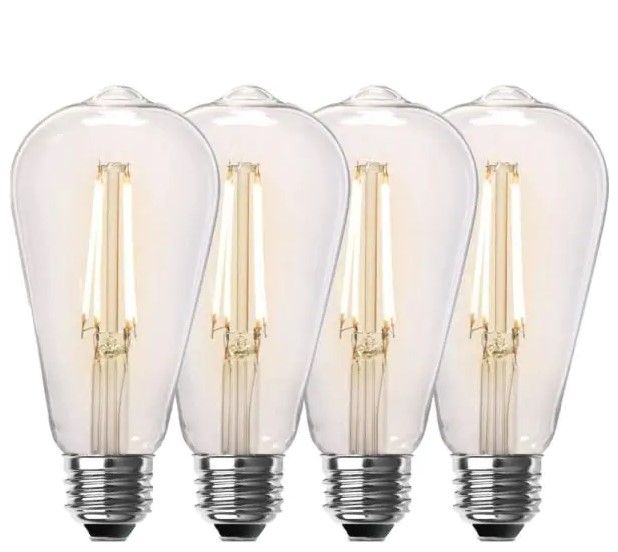 Photo 1 of 
Feit Electric
60-Watt Equivalent ST19 Dimmable Straight Filament Clear Glass Vintage Edison LED Light Bulb, Soft White (4-Pack