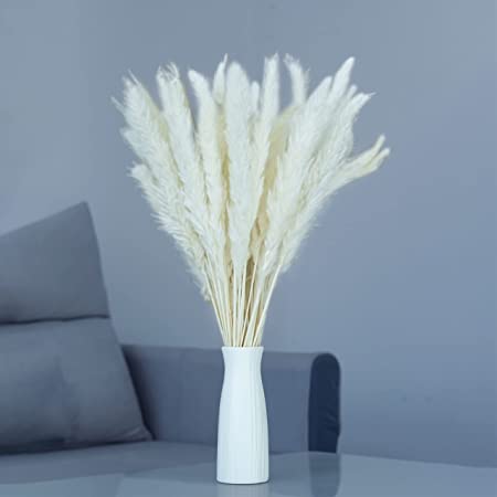 Photo 1 of 30 Pcs White Natural Dried Pampas Grass Decor - 17 Inch Long Pompous Grass - Small Pompas Floral for Vase Flower Arrangements, Weddings, Home, Kitchen, & Boho Decorations