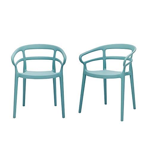 Photo 1 of (CRACKED/BROKEN LEG JOINT)
amazon basics light blue curved back dining chair set of 2