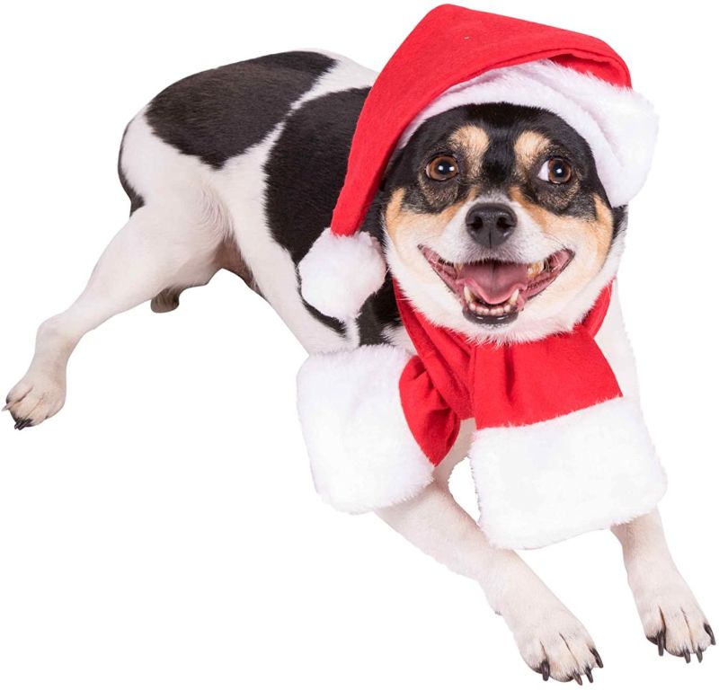 Photo 1 of 3 pair Clever Creations Christmas Hat Pet Costume for Dogs