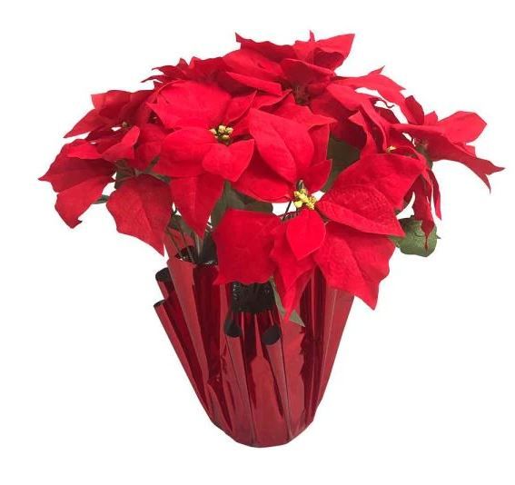 Photo 1 of 3 EA 21 in. Artificial Red Silk Poinsettia Floral Arrangement in Red Foil