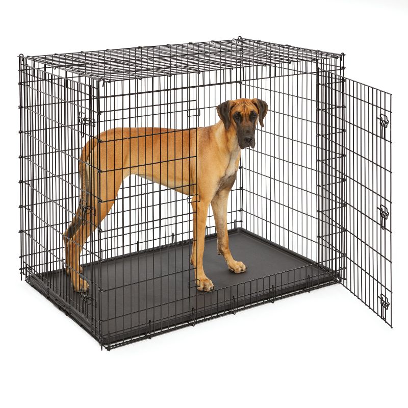 Photo 1 of MidWest XX-Large Double Door Wire Dog Crate, 54"
