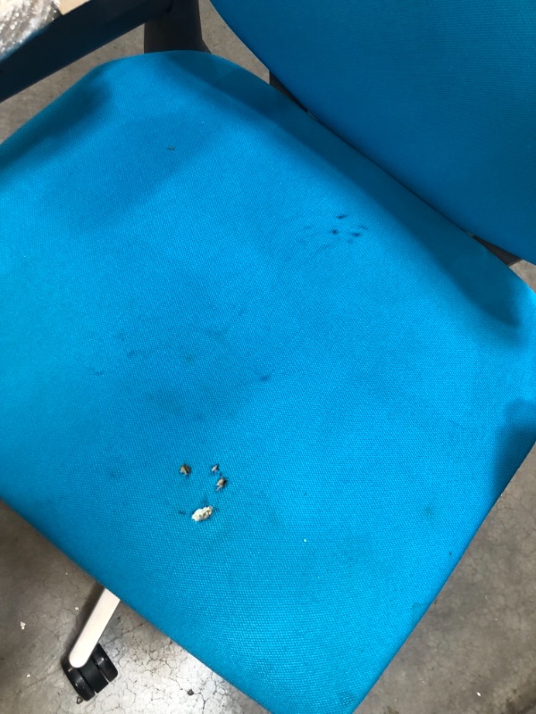 Photo 5 of **SEAT HAS 4 SMALL BURN MARKS, REFER TO PHOTO**
Steelcase Gesture Office Chair - Cogent: Connect Blue Jay Fabric, Low Seat Height, Shell Back, Light on Light Frame, Polished Aluminum Base
