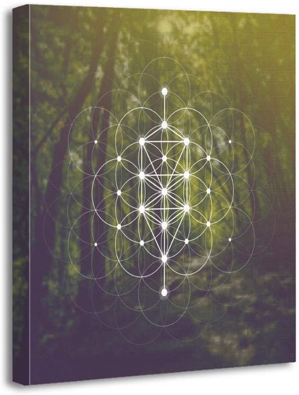 Photo 1 of Altuny Print Wall Painting Pictures Tree Life Geometry Kabbalah Symbol Front Repeating 16x20 Inch Artwork Modern Decor for Living Room Bedroom Bathroom
