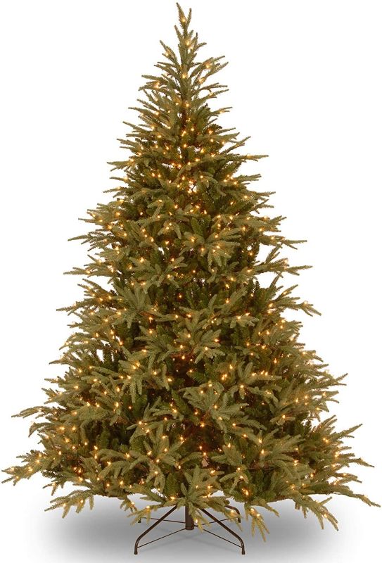 Photo 1 of **DAMAGED**
National Tree Company Pre-Lit 'Feel Real' Artificial Full Christmas Tree, Green, Frasier Grande, Dual Color LED Lights, Includes Stand, 6 Feet
