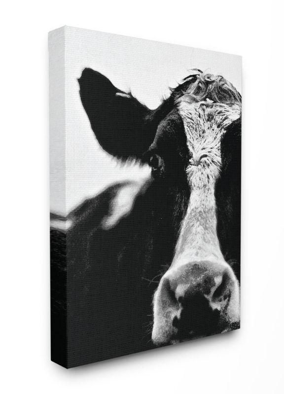 Photo 1 of 
Stupell Home Decor Cow Black 30X40IN