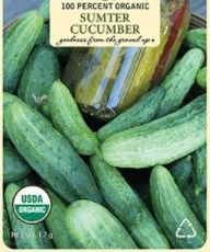 Photo 1 of 10 PACK- BACK TO THE ROOTS SUMTER PICKLING CUCUMBER SEEDS