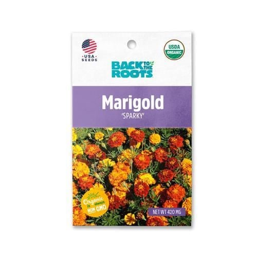 Photo 1 of 10 PACK- BACK TO THE ROOTS MARIGOLD - 'SPARKY'