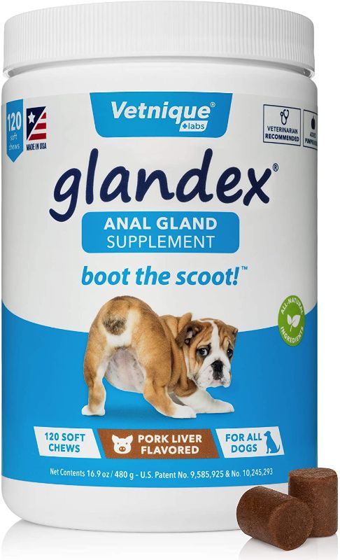 Photo 1 of  expires 09/2023 Glandex Anal Gland Soft Chew Treats with Pumpkin for Dogs 120ct Chews with Digestive Enzymes, Probiotics Fiber Supplement for Dogs – Vet Recommended - Boot The Scoot - by Vetnique Labs