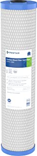 Photo 1 of Pentair Pentek EPM-20BB Big Blue Carbon Water Filter, 20-Inch, Whole House Modified Epsilon Carbon Block Replacement Cartridge with Bonded Powdered Activated Carbon (PAC) Filter, 20" x 4.5", 10 Micron
