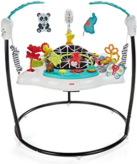 Photo 1 of Fisher-Price Animal Wonders Jumperoo