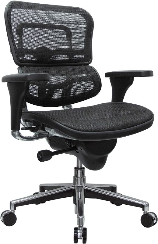 Photo 1 of Eurotech Seating Ergohuman Mid Back Mesh Swivel Chair, Black
