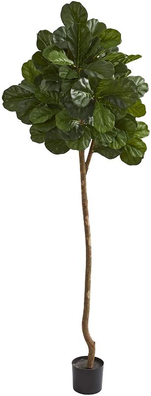 Photo 1 of  BASE IS BROKEN!!!  Nearly Natural 7’ Fiddle Leaf Fig Artificial Silk Trees, Green
