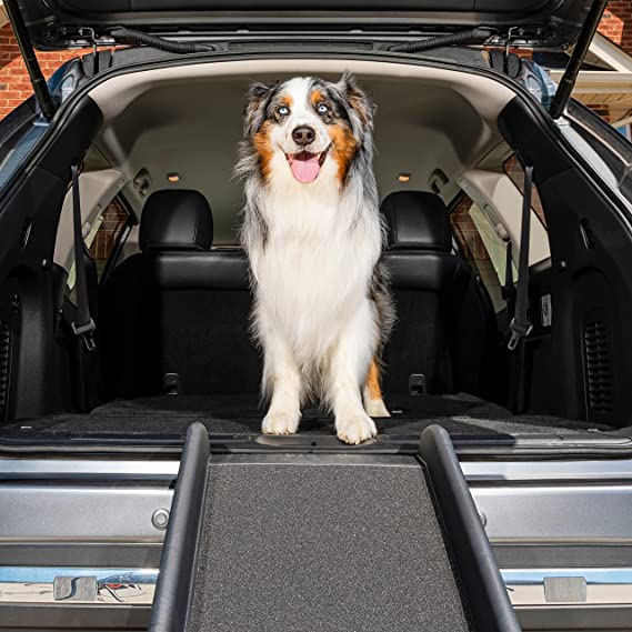 Photo 1 of PetSafe Happy Ride Folding Pet Ramp, 62 Inch, Portable Lightweight Dog and Cat Ramp, Great for Cars, Trucks and SUVs - Side Rails and High Traction Surface
