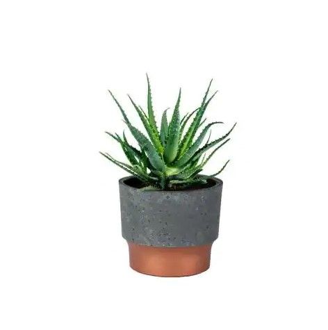 Photo 1 of 3 in. Faux Concrete Plastic Sprite Succulent Pot-8 pack 
