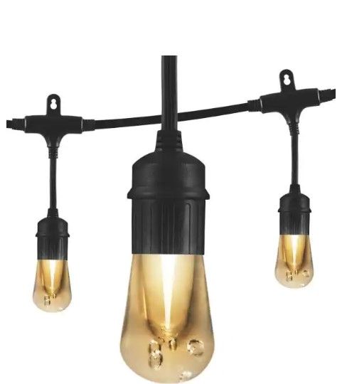 Photo 1 of 
Enbrighten
12-Bulb 24 ft. Vintage Cafe Integrated LED String Lights, Black