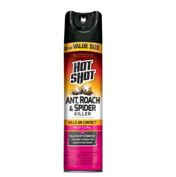 Photo 1 of 12 PACK OF Hot Shot 20 oz. Ant, Roach, and Spider Insect Killer Aerosol Spray Fresh Floral Scent.