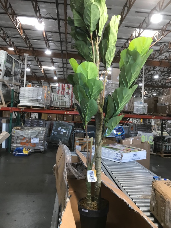 Photo 2 of 6 Ft Fiddle Leaf Fig Artificial Tree for Indoor & Outdoor Use | No Maintenance Required for Fiddle Leaf Tree Plant for House or Office. Makes a Perfec
