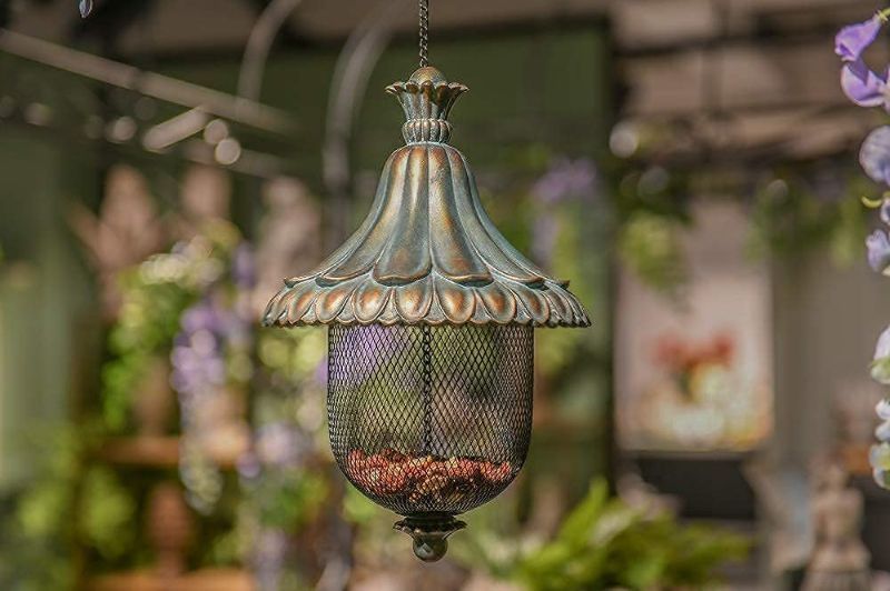 Photo 1 of Hanging Bird-Feeder Squirrel-Proof Caged Hummingbird-Feeder - for Outdoor Wild Garden Yard Balcony 7.3L x 7.3W x 11H inch Newman House Studio
