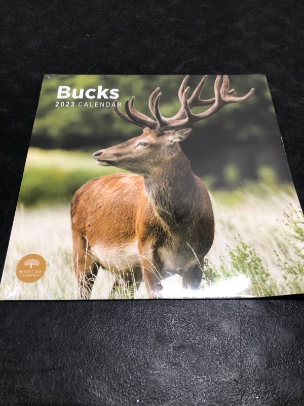 Photo 2 of 2023 Bucks Wall Calendar by Bright Day, 12x12 Inch, Deer Beautiful Wildlife Nature Animal Hunting Photography