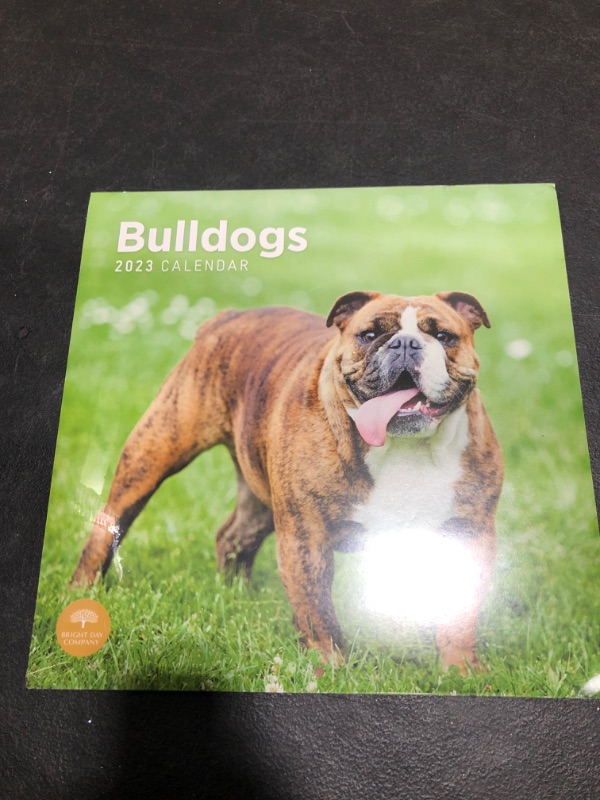 Photo 2 of 2023 Bulldogs Wall Calendar by Bright Day, 12x12 Inch, Cute Adorable Pet Puppy Dog Photography