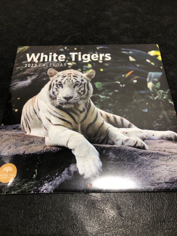 Photo 2 of 2023 White Tigers Wall Calendar by Bright Day, 12x12 Inch, Beautiful Nature Wildlife Photography