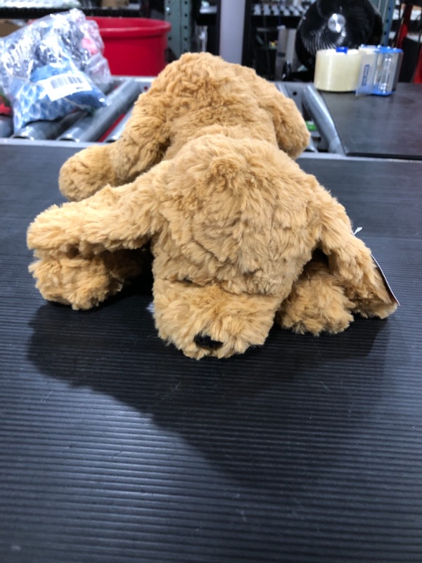 Photo 1 of Gund® Baby Boys or Girls Muttsy Dog Plush Toy