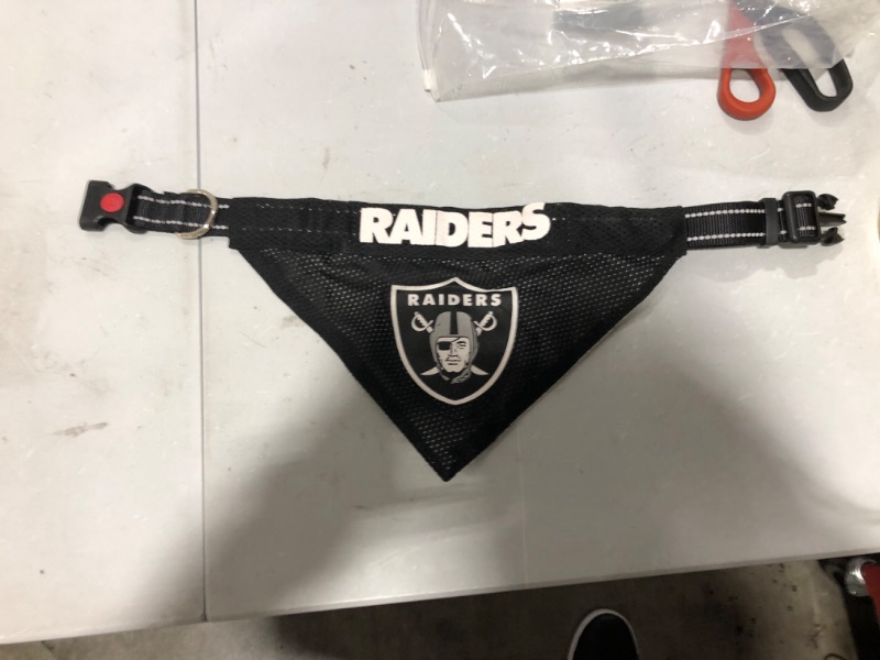 Photo 1 of  Dog Collar With Raider Bandana