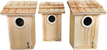 Photo 1 of 3 Pack Bird House - Bluebird, Finch, Wren, Chickadee, Tree Swallow Bird, Wild Birds, Woodpecker House, Unfinished Wood DIY Project |
DAMAGED PACKAGE 