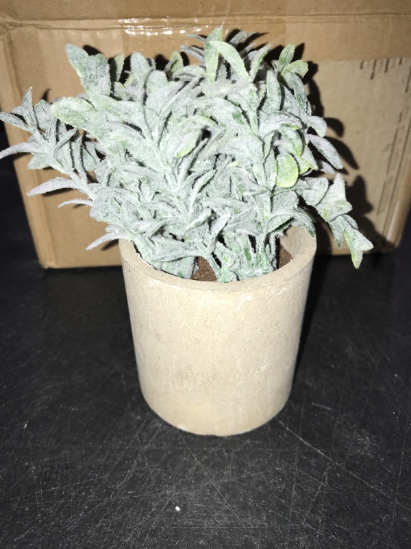 Photo 1 of 6 Pot Small Fake Plant Flowerpot Artificial Plastic Eucalyptus Plant Wheat Grass Shrub Plant Indoor Desk Coffee Table Bathroom Bedroom Home Decoration 