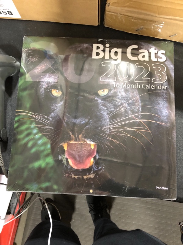 Photo 1 of 2023 big cats calendar 