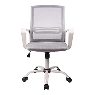 Photo 1 of SMUGDESK Ergonomic Swivel Task Computer Desk Home Office Chair with Wheels and Arms, Gray (B088TDDJRF)