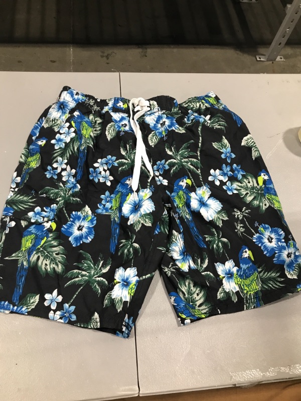 Photo 1 of XL swim trunks 